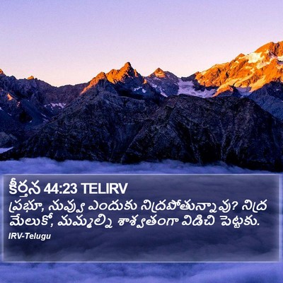 కీర్తన 44:23 TELIRV Bible Verse Image