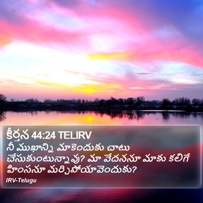 కీర్తన 44:24 TELIRV Bible Verse Image