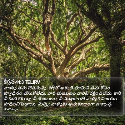 కీర్తన 44:3 TELIRV Bible Verse Image