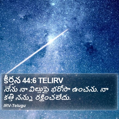 కీర్తన 44:6 TELIRV Bible Verse Image