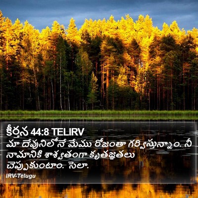 కీర్తన 44:8 TELIRV Bible Verse Image