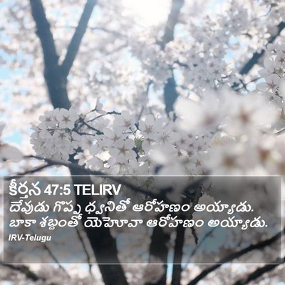 కీర్తన 47:5 TELIRV Bible Verse Image
