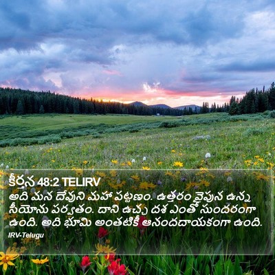 కీర్తన 48:2 TELIRV Bible Verse Image