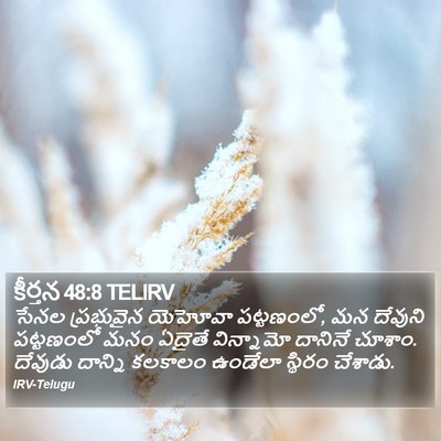కీర్తన 48:8 TELIRV Bible Verse Image