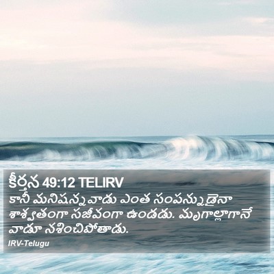 కీర్తన 49:12 TELIRV Bible Verse Image