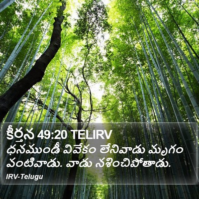 కీర్తన 49:20 TELIRV Bible Verse Image