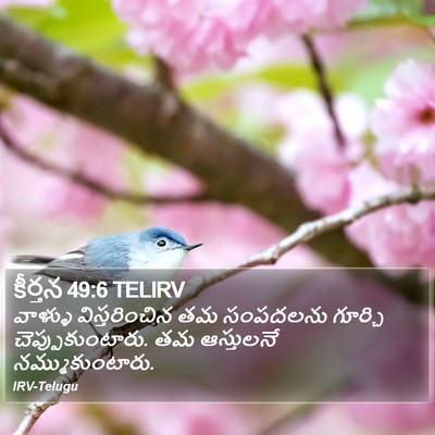 కీర్తన 49:6 TELIRV Bible Verse Image