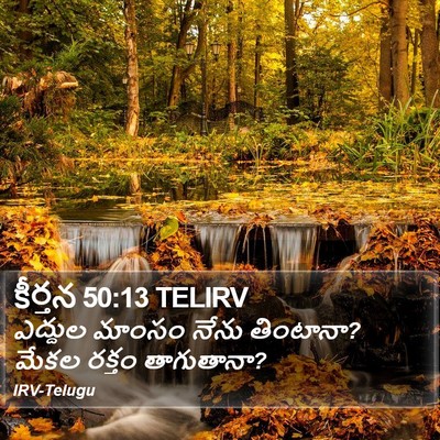 కీర్తన 50:13 TELIRV Bible Verse Image