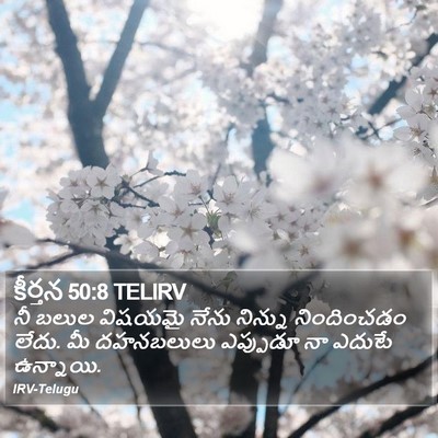 కీర్తన 50:8 TELIRV Bible Verse Image