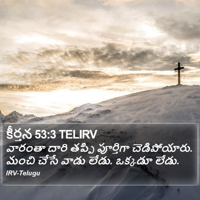 కీర్తన 53:3 TELIRV Bible Verse Image