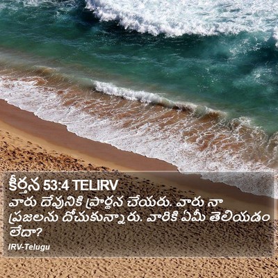 కీర్తన 53:4 TELIRV Bible Verse Image
