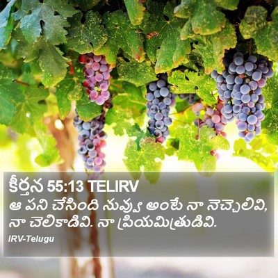 కీర్తన 55:13 TELIRV Bible Verse Image