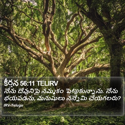 కీర్తన 56:11 TELIRV Bible Verse Image