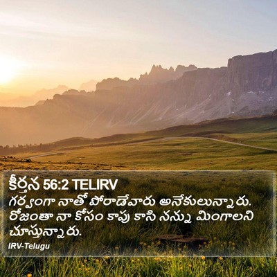కీర్తన 56:2 TELIRV Bible Verse Image