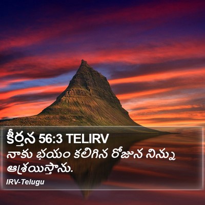 కీర్తన 56:3 TELIRV Bible Verse Image