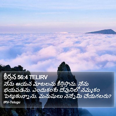 కీర్తన 56:4 TELIRV Bible Verse Image