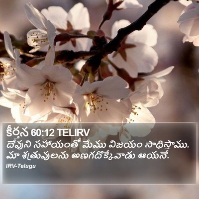 కీర్తన 60:12 TELIRV Bible Verse Image