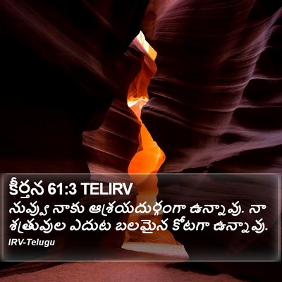 కీర్తన 61:3 TELIRV Bible Verse Image