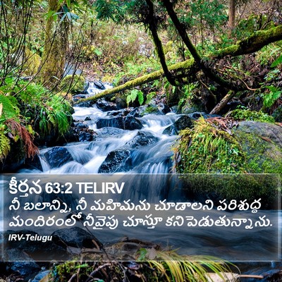 కీర్తన 63:2 TELIRV Bible Verse Image