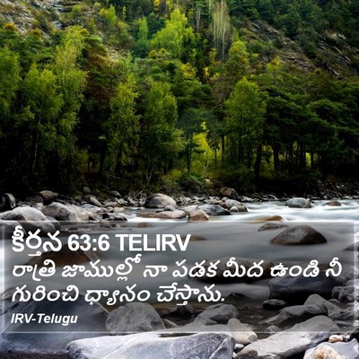 కీర్తన 63:6 TELIRV Bible Verse Image