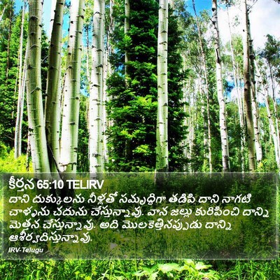 కీర్తన 65:10 TELIRV Bible Verse Image