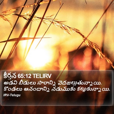 కీర్తన 65:12 TELIRV Bible Verse Image