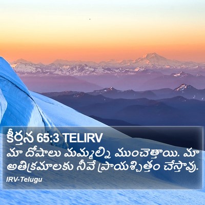 కీర్తన 65:3 TELIRV Bible Verse Image