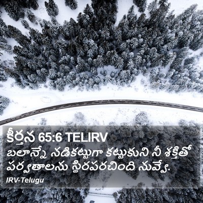 కీర్తన 65:6 TELIRV Bible Verse Image