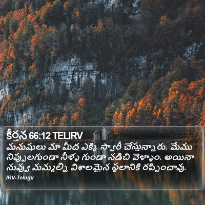 కీర్తన 66:12 TELIRV Bible Verse Image