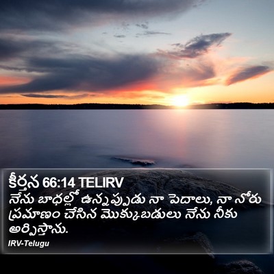 కీర్తన 66:14 TELIRV Bible Verse Image