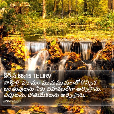 కీర్తన 66:15 TELIRV Bible Verse Image