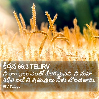 కీర్తన 66:3 TELIRV Bible Verse Image
