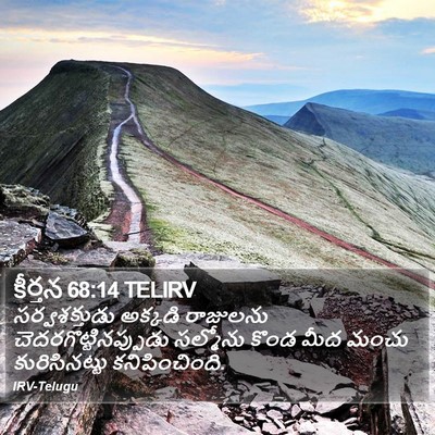 కీర్తన 68:14 TELIRV Bible Verse Image