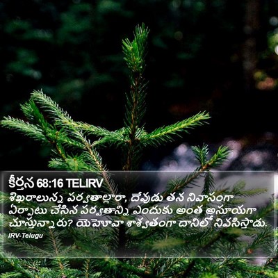 కీర్తన 68:16 TELIRV Bible Verse Image