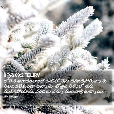 కీర్తన 69:2 TELIRV Bible Verse Image