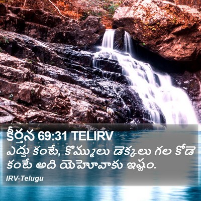 కీర్తన 69:31 TELIRV Bible Verse Image
