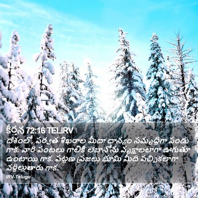 కీర్తన 72:16 TELIRV Bible Verse Image