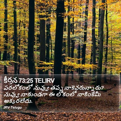 కీర్తన 73:25 TELIRV Bible Verse Image
