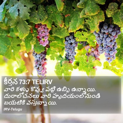 కీర్తన 73:7 TELIRV Bible Verse Image