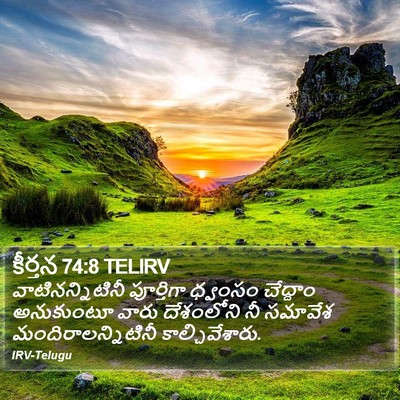 కీర్తన 74:8 TELIRV Bible Verse Image