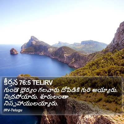 కీర్తన 76:5 TELIRV Bible Verse Image