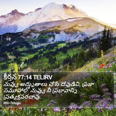 కీర్తన 77:14 TELIRV Bible Verse Image