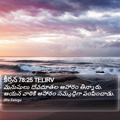 కీర్తన 78:25 TELIRV Bible Verse Image