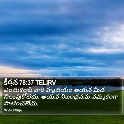 కీర్తన 78:37 TELIRV Bible Verse Image