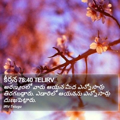 కీర్తన 78:40 TELIRV Bible Verse Image