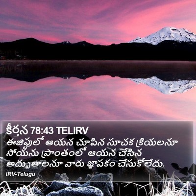 కీర్తన 78:43 TELIRV Bible Verse Image