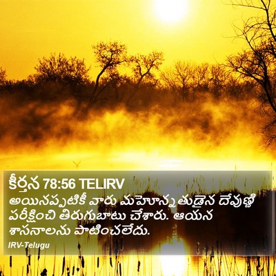 కీర్తన 78:56 TELIRV Bible Verse Image