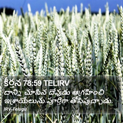 కీర్తన 78:59 TELIRV Bible Verse Image