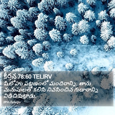కీర్తన 78:60 TELIRV Bible Verse Image