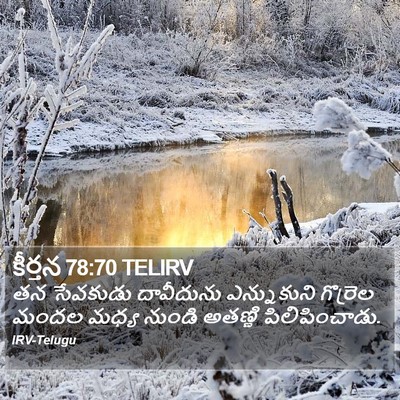 కీర్తన 78:70 TELIRV Bible Verse Image